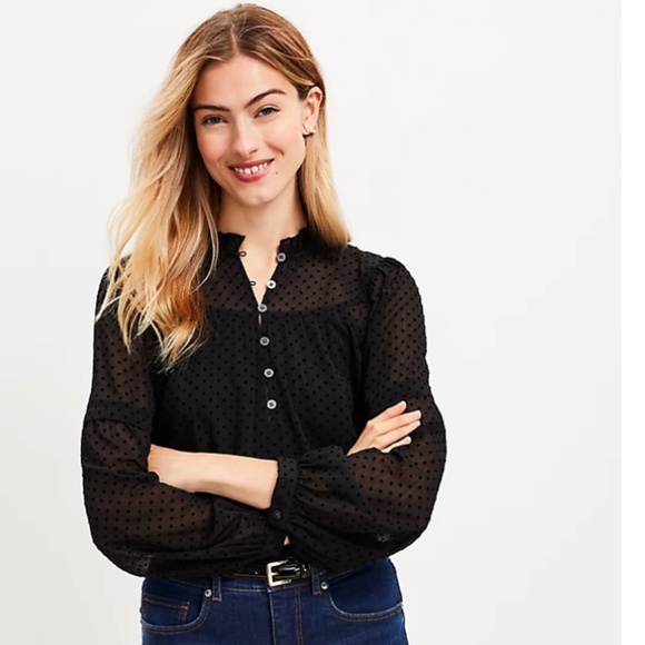 Ann Taylor Loft Swiss Dot Blouse, XXS Petite, NWT - Picture 3 of 5